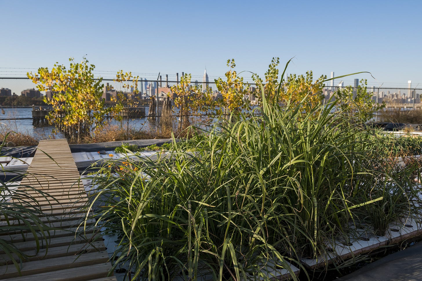 Member Sustainability Series: Oko Farms Tour and Workshop | MoMA