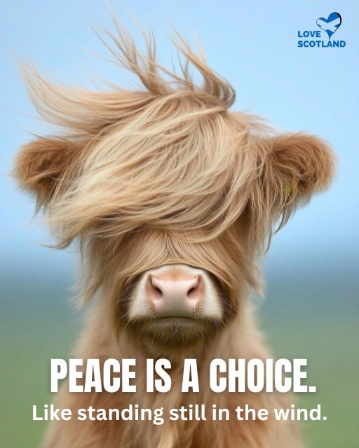 May be an image of text that says "LOVE LOVE SCOTLAND PEACE IS A CHOICE. Like standing still in the wind."