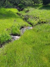 Forty Days of Transformation - Week 1: Purification: Embracing the Cleansing Waters Forty Days of Transformation - Week 1: Purification: Embracing the Cleansing Waters