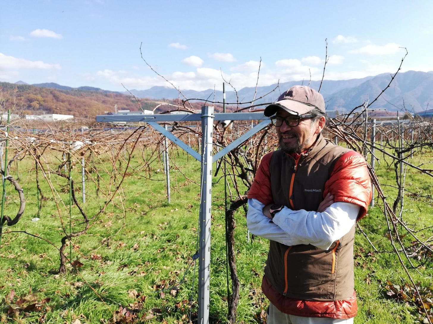 Tsuyoshi “Tsuyopom” Kobayashi in his Koshu vineyard, Yamanashi, Japan (Photo (C) Simon J Woolf) Tsuyoshi “Tsuyopom” Kobayashi in his Koshu vineyard, Yamanashi, Japan (Photo (C) Simon J Woolf)
