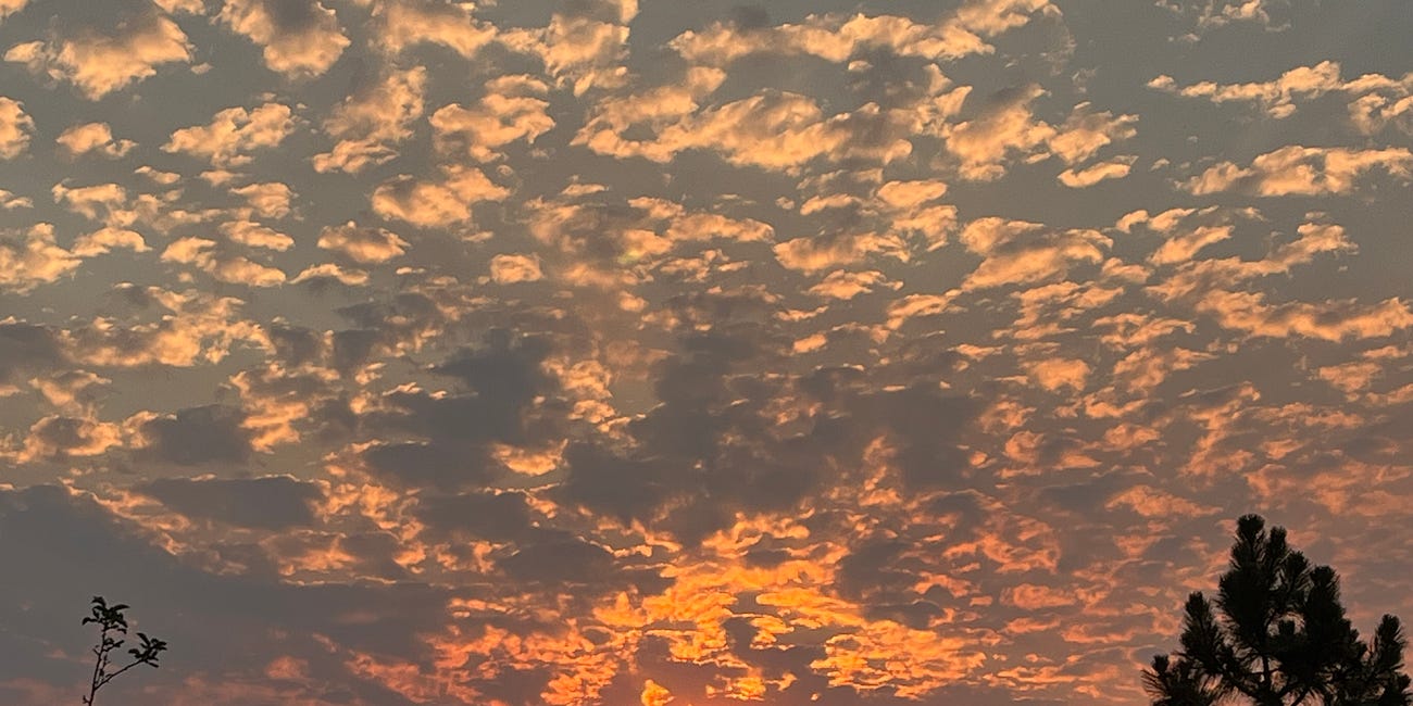 Making space – and coming clean with you