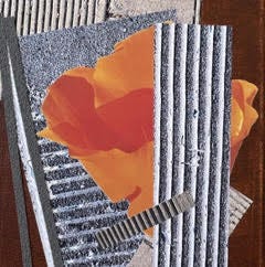 On a reddish-brown painted canvas, this is a collage of textured and smooth papers. A mixture of smooth and tactile papers is printed with the strong geometric lines of concrete striations. A giant orange poppy grows between the lines.