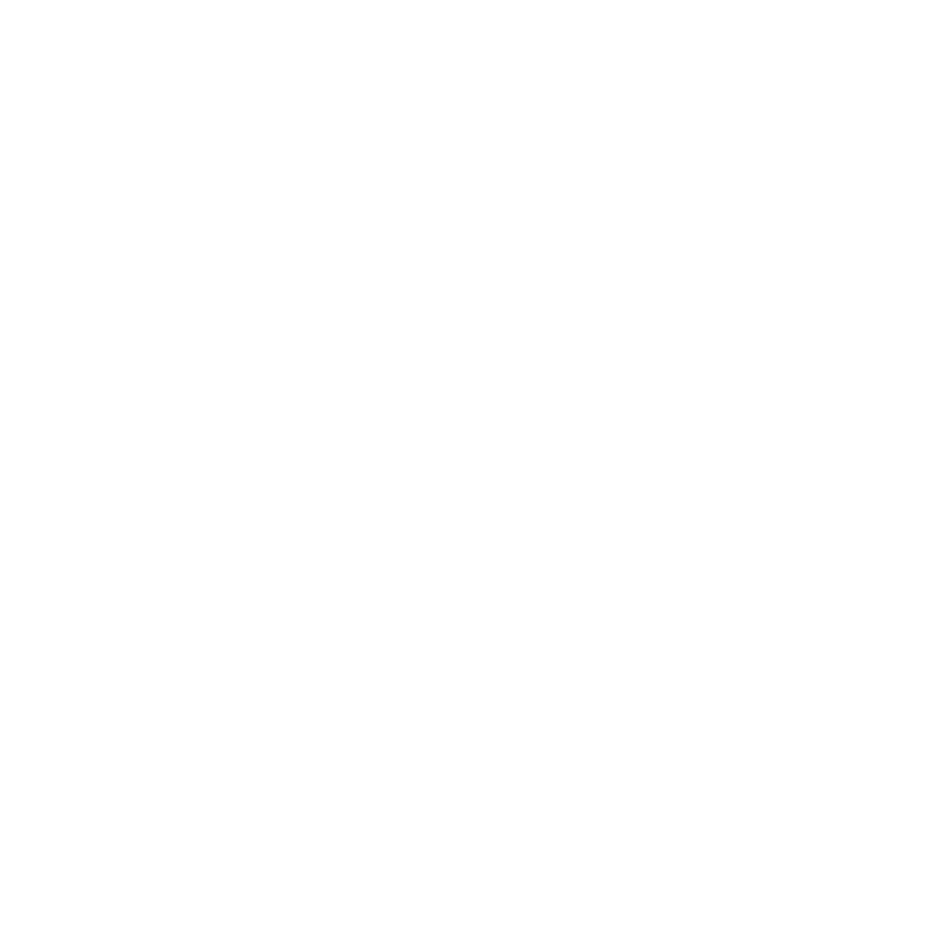 The NonDe Shorts Festival (NSF)