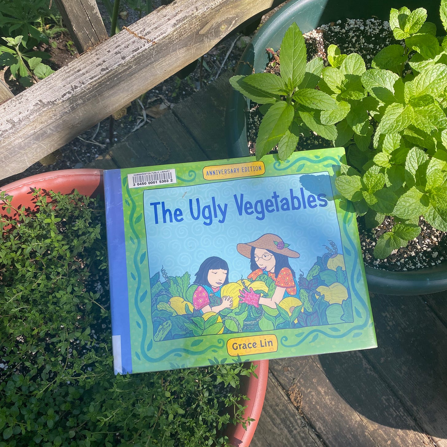 This book balanced between two large pots of herbs: thyme and mint.