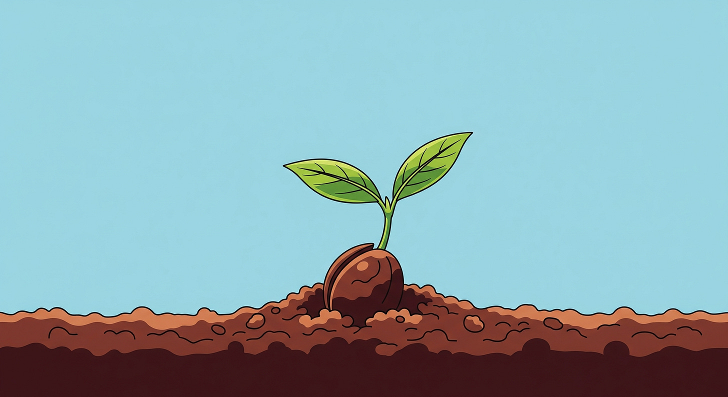 A seedling with two leaves growing out of the earth