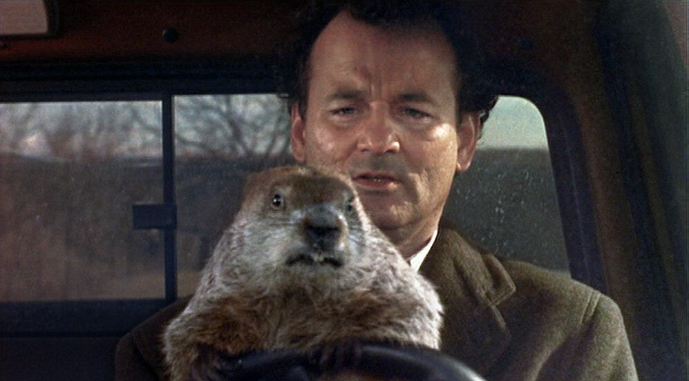 Groundhog Day Movies - The New York Times Groundhog Day Movies - The New York Times