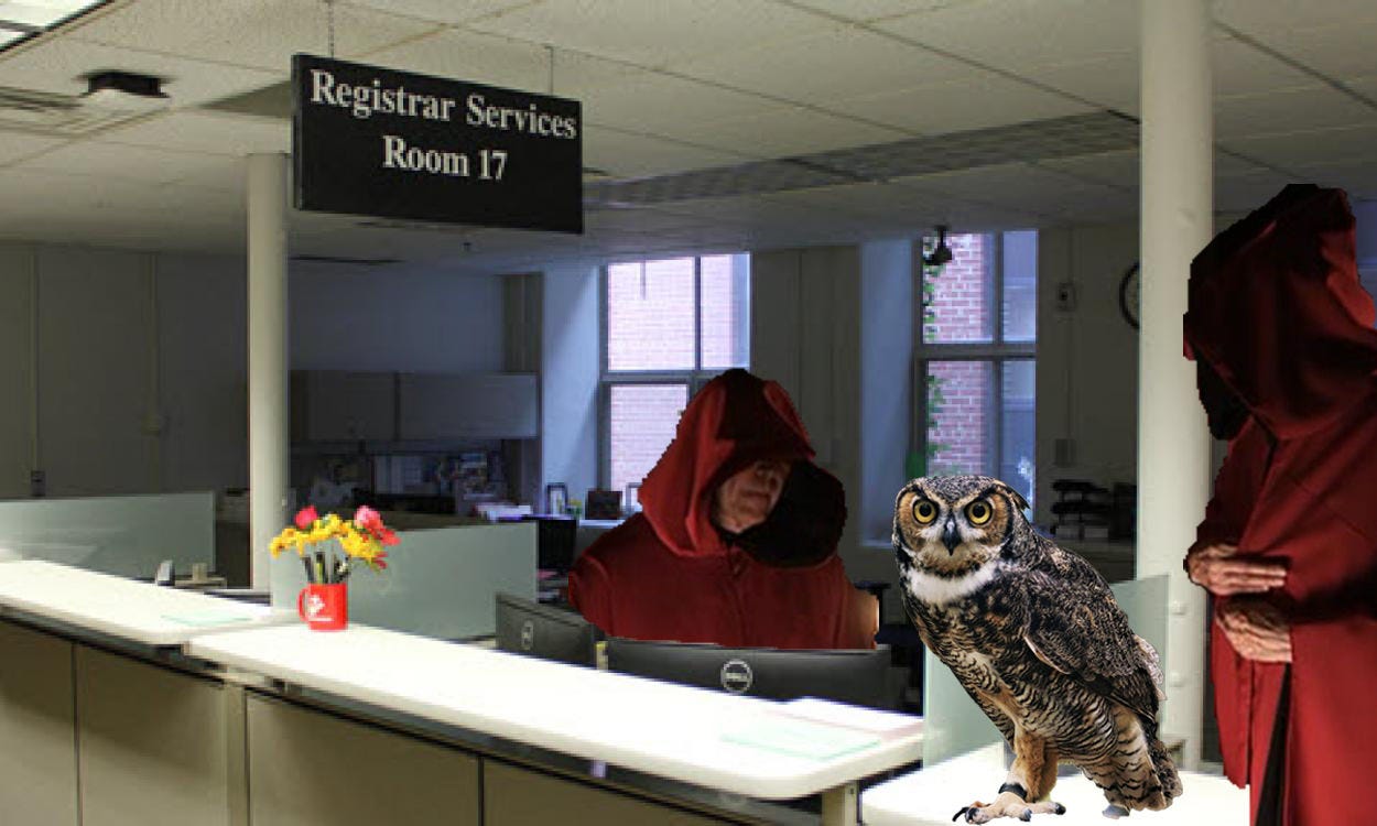 UI Registrar office consulting wise owl