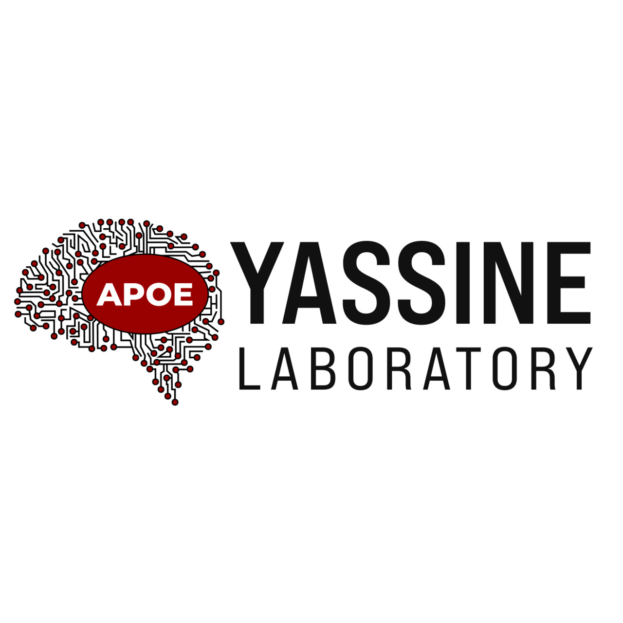 Hussein N. Yassine
