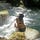The Naiad Journal