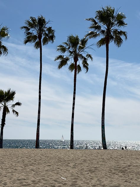 Earth day photography of mountains, palm trees, flowers, and the ocean