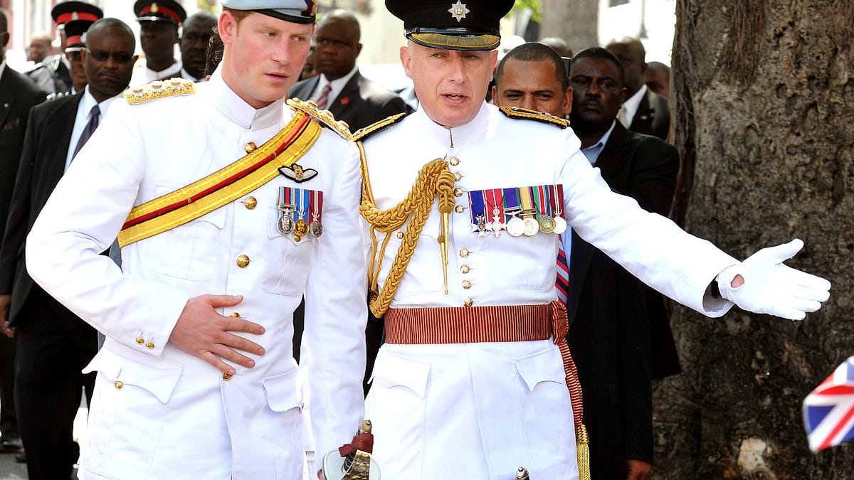 JLP, William and Harry's Secret Keeper, Pens Novel
