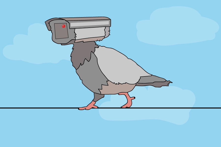 CIA Bird