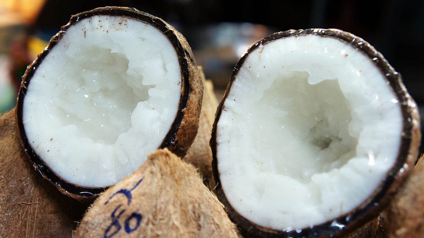 A coconut is split in half with soft moist, white flesh and a round hard brown shell