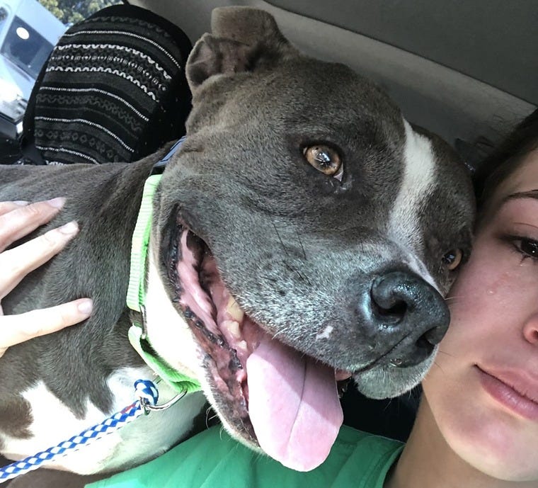 May be an image of 1 person and dog