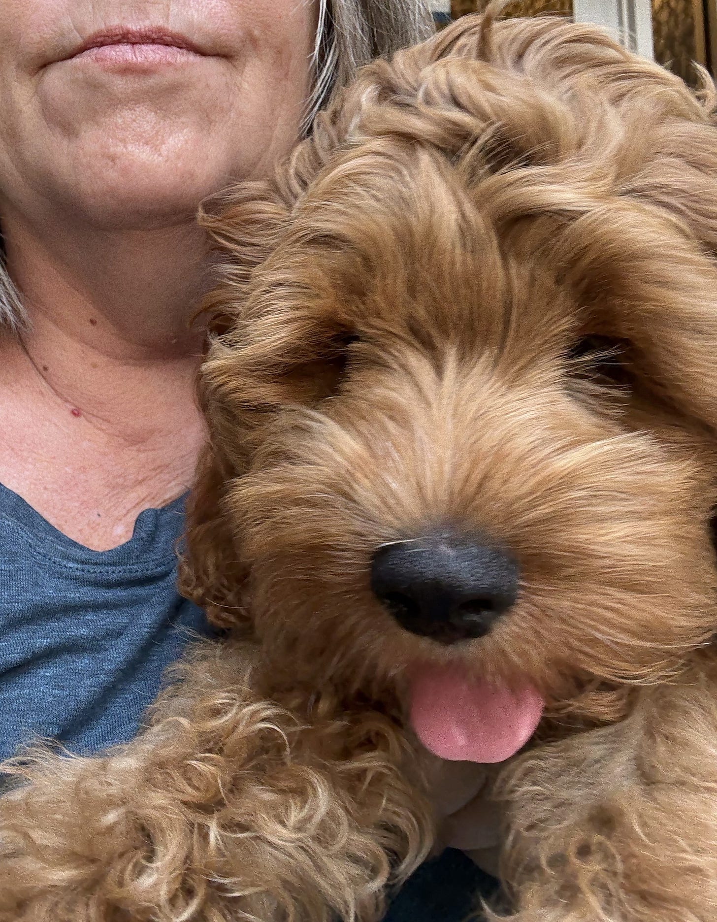Peanut the puppy with his tongue out... and Kate