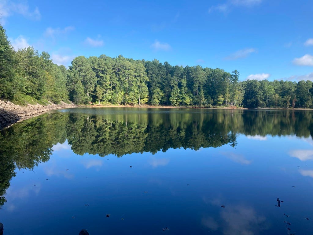 view of Falls Lake reflecting trees and blue sky