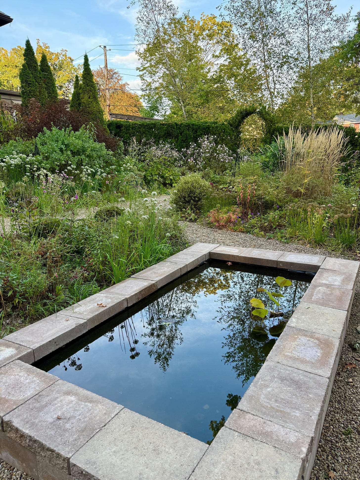 Looking east to the Birch Walk arches, over the new pool