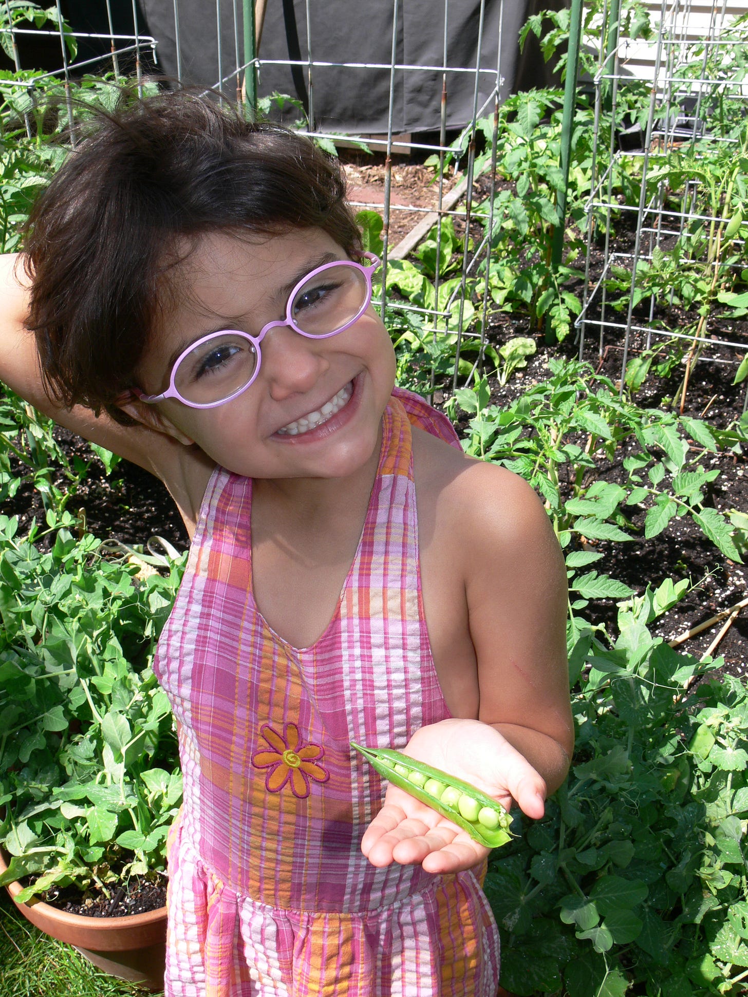 a girl with a just-picked pea pod