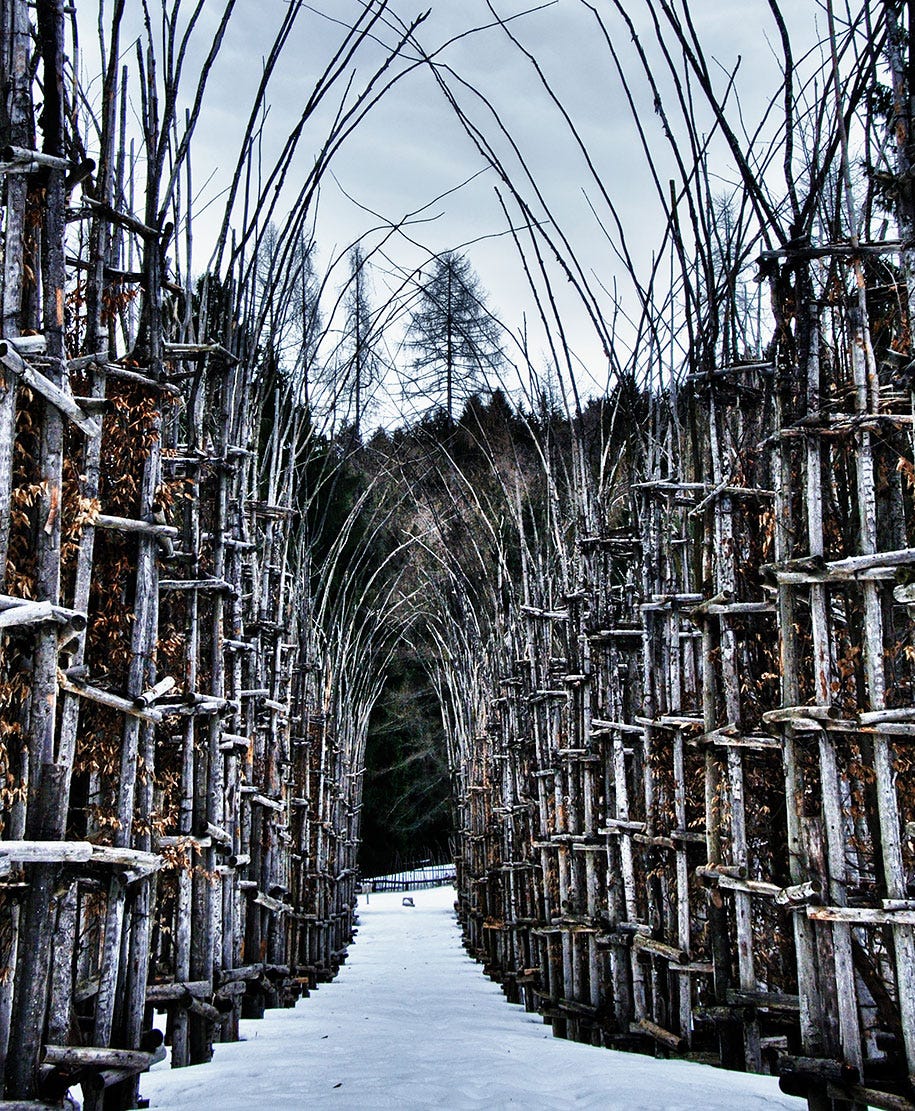 cattedrale-vegetale-tree-cathedral-giuliano-mauri-6[1]