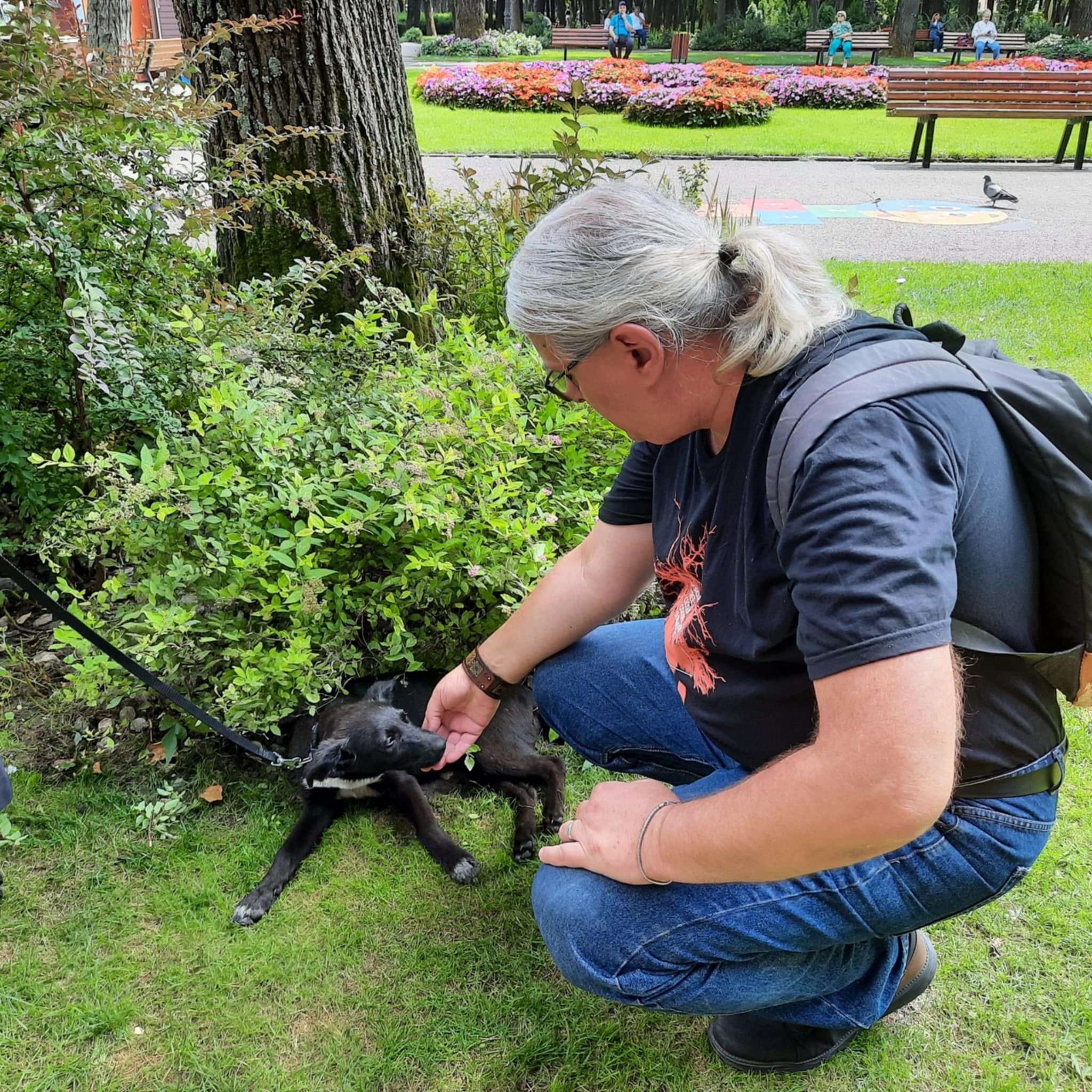 Artwork for Eduard Antoniu