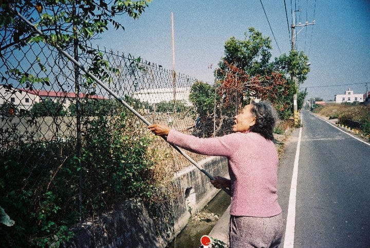 未提供相片說明。