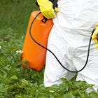 Political Firestorm Erupts After Trump Backs Notorious Pesticide in Executive Order