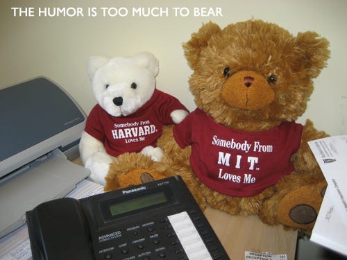 bearmit bearmit