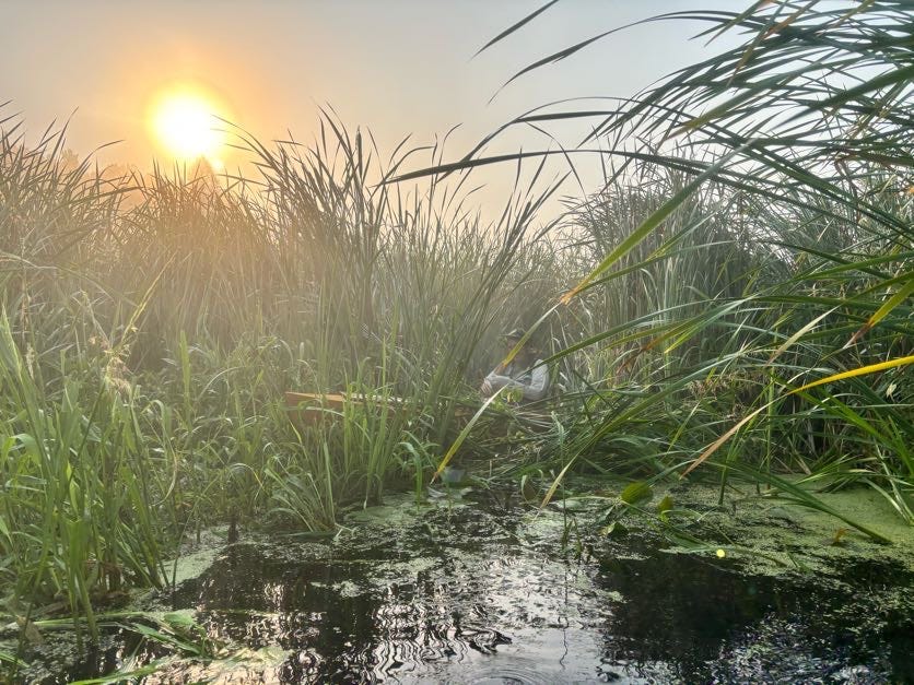 I made it through though, so that's what counts