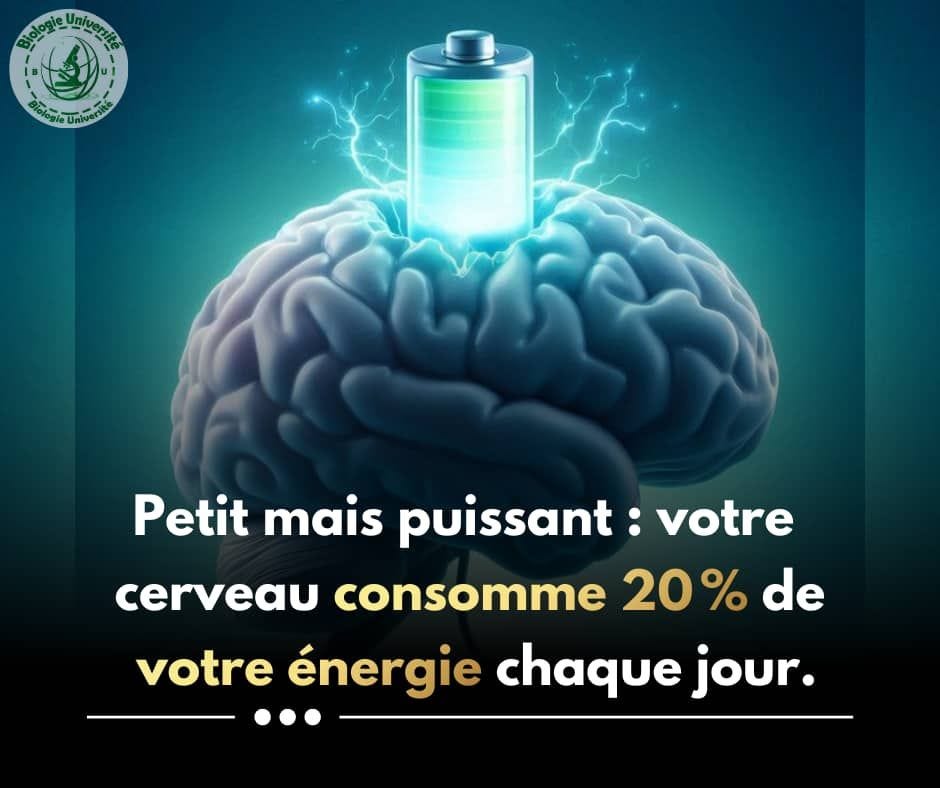 May be an image of text