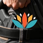 Wasige wetskepping met die Wysigingswet op Vuurwapenbeheer