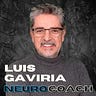 Neurocoaching University Insights