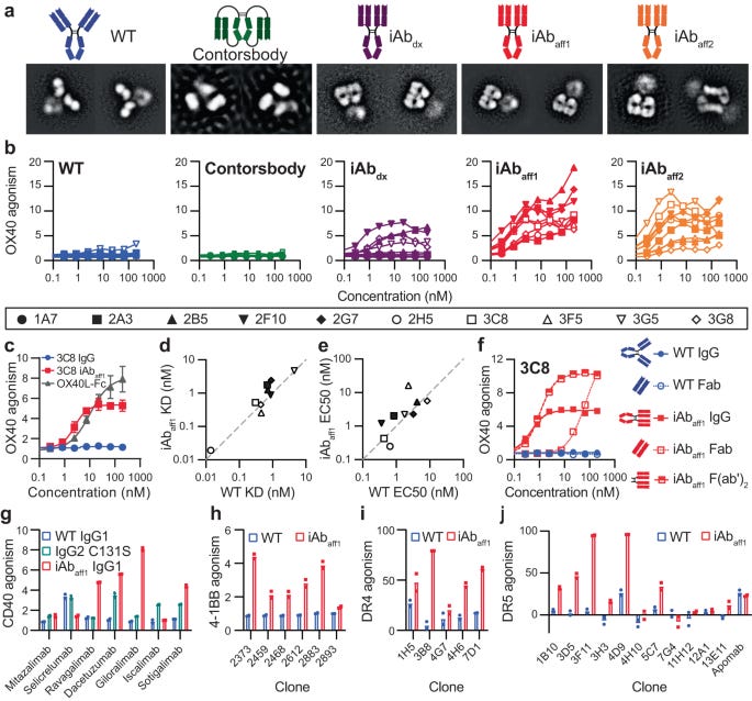 LGB 初期 archive Asymmetry t LGB 初期 archive Asymmetry t
