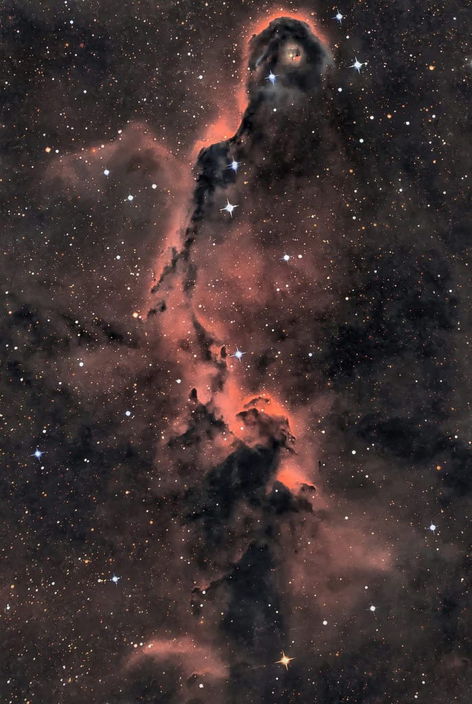 The Elephant's Trunk in Cepheus The Elephant's Trunk in Cepheus