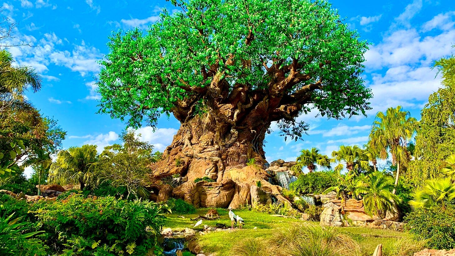 Disney blocks cast members from Animal Kingdom for 14 straight days