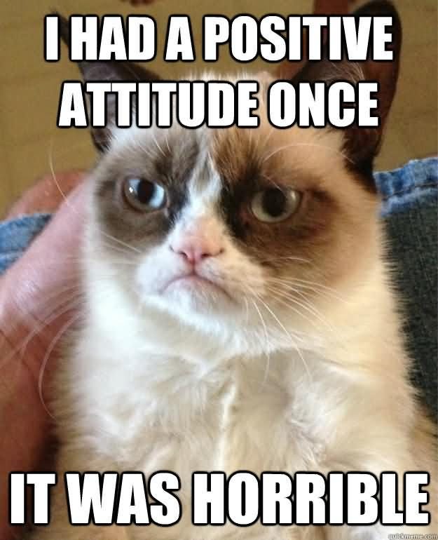 I-Had-A-Positive-Attitude-Once-Funny-Cat-Meme - Student Health and Wellbeing