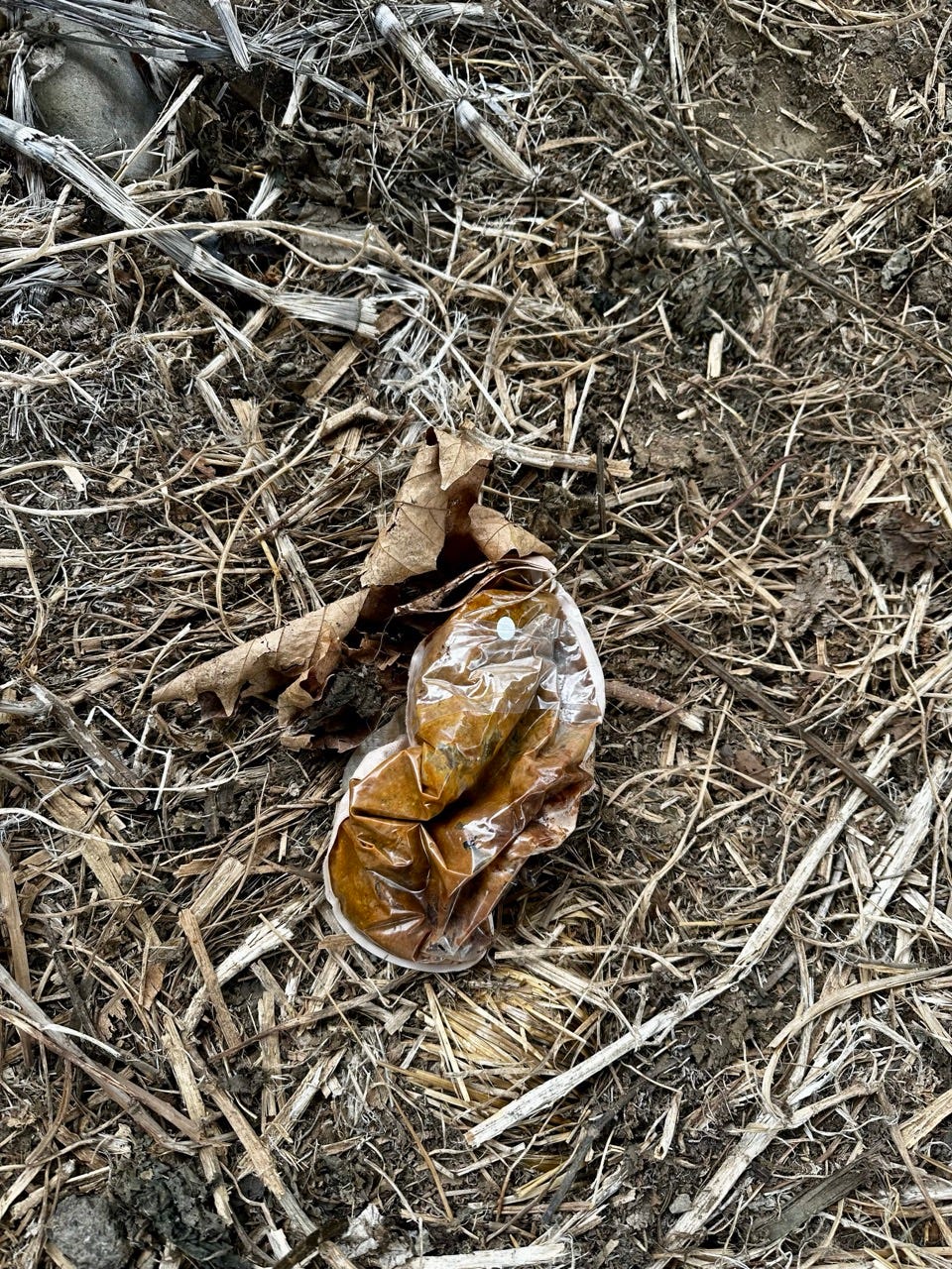 A plastic bag on the ground

Description automatically generated