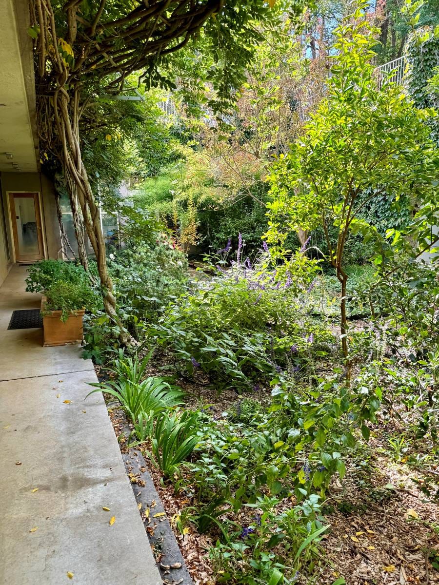 peristyle garden peristyle garden