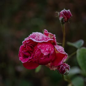 Inspirations & Connections | IX. Stillness