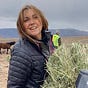 Suzanne Roy's avatar