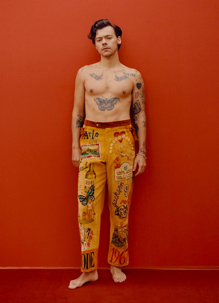 Harry Styles's Bode pants feature his childhood dog Max.