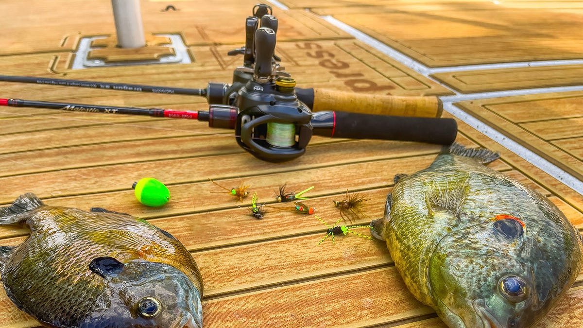 12 inch fishing pole for doll Dollhouse Rod 4 PCS Miniature Fishing Poles Crafts, Dollhouse Fishing Rod 1:12, Mini Fishing Pole Model for Dollhouse Decoration Dollhouse Fishing Pole 7/8(L) Approximate Dimension (cm) Fishing Rod Bape X No of Rods:3 FSBA-B