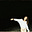 alabalaportocala's avatar