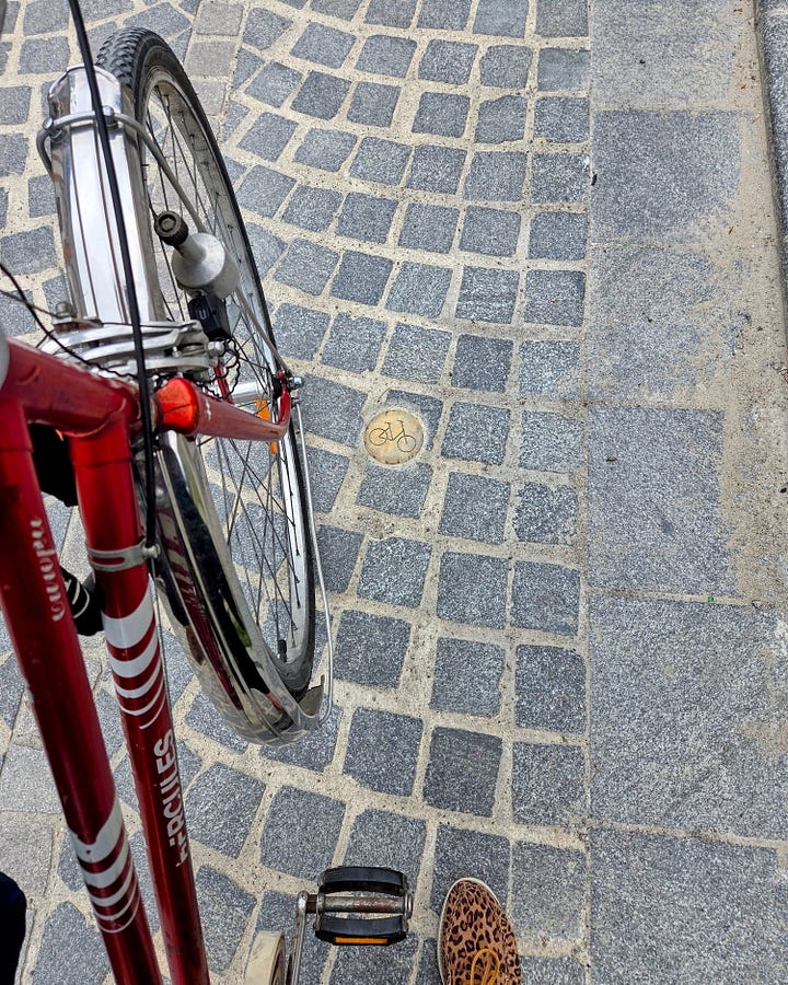 pavement with the metal signs with engraved drawings of the neighborhood and bicycle