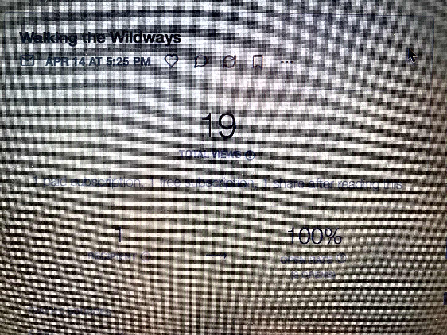 A screenshot showing "19 TOTAL VIEWS"