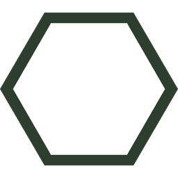 Wounds to Wisdom: Finding truth in the shadows