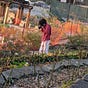 Nickan Fayyazi's avatar