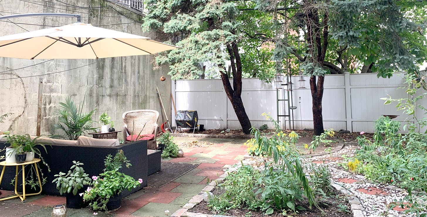Backyard with seating area, umbrella, and native flowers