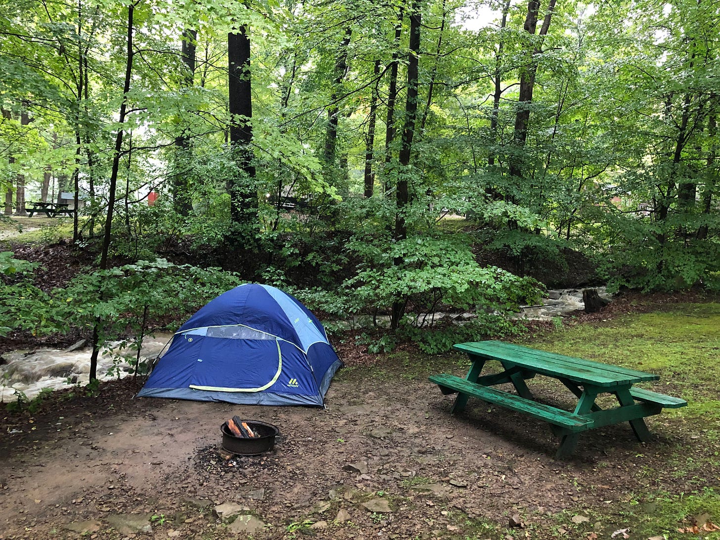 tent next to river at a campground; a picnic table and firepit compose the foreground