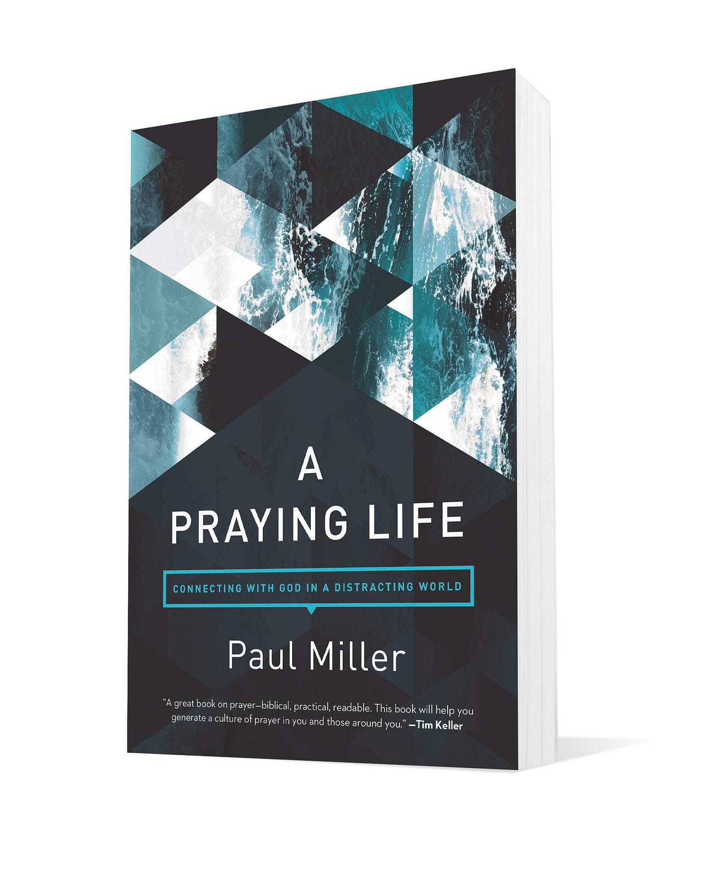Buy A Praying Life: Connecting with God in a Distracting World Book Online  at Low Prices in India | A Praying Life: Connecting with God in a  Distracting World Reviews & Ratings -
