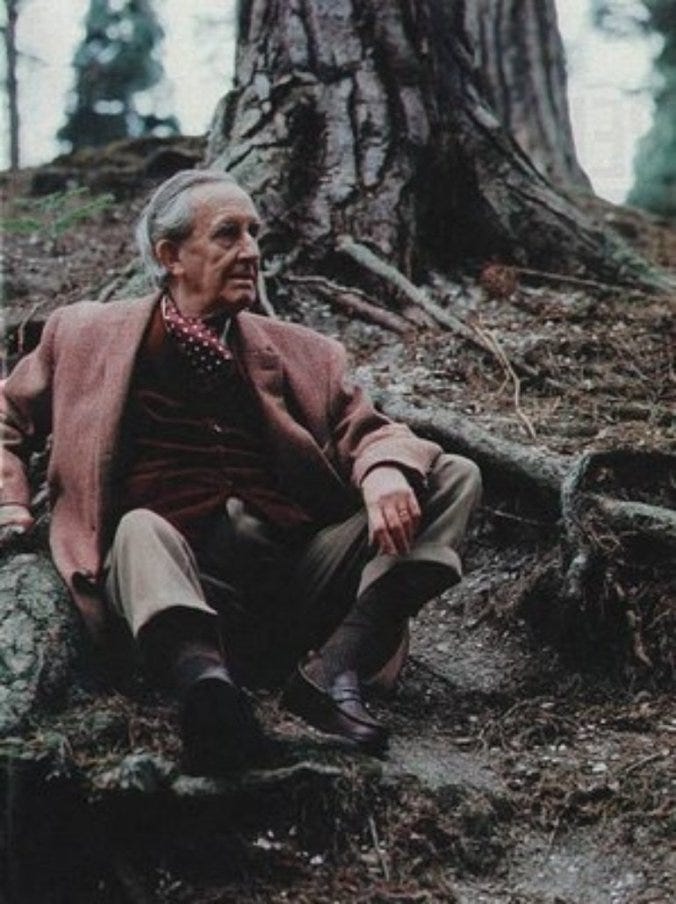 Walking With Tolkien – Into The Forest Dark